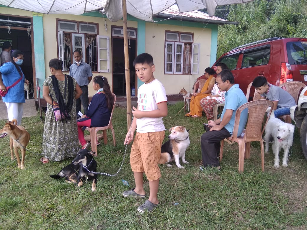 Village camp by Kalimpong Animal Shelter